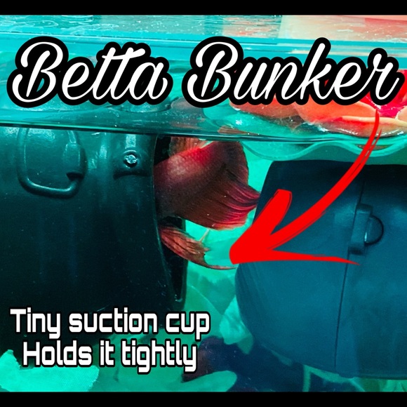 Small plastic hideout - Picture 8 of 8